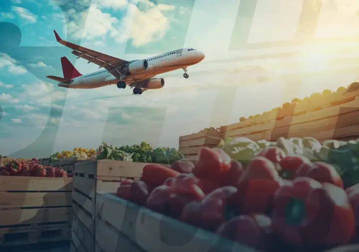 Amerika gümrüğünde takılan kargolar ve çözüm süreci